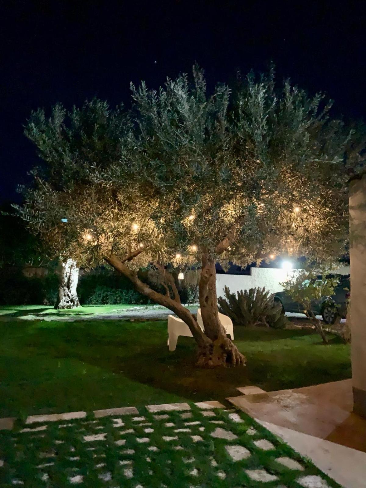 הוילה מודיקה Casa Daviri מראה חיצוני תמונה