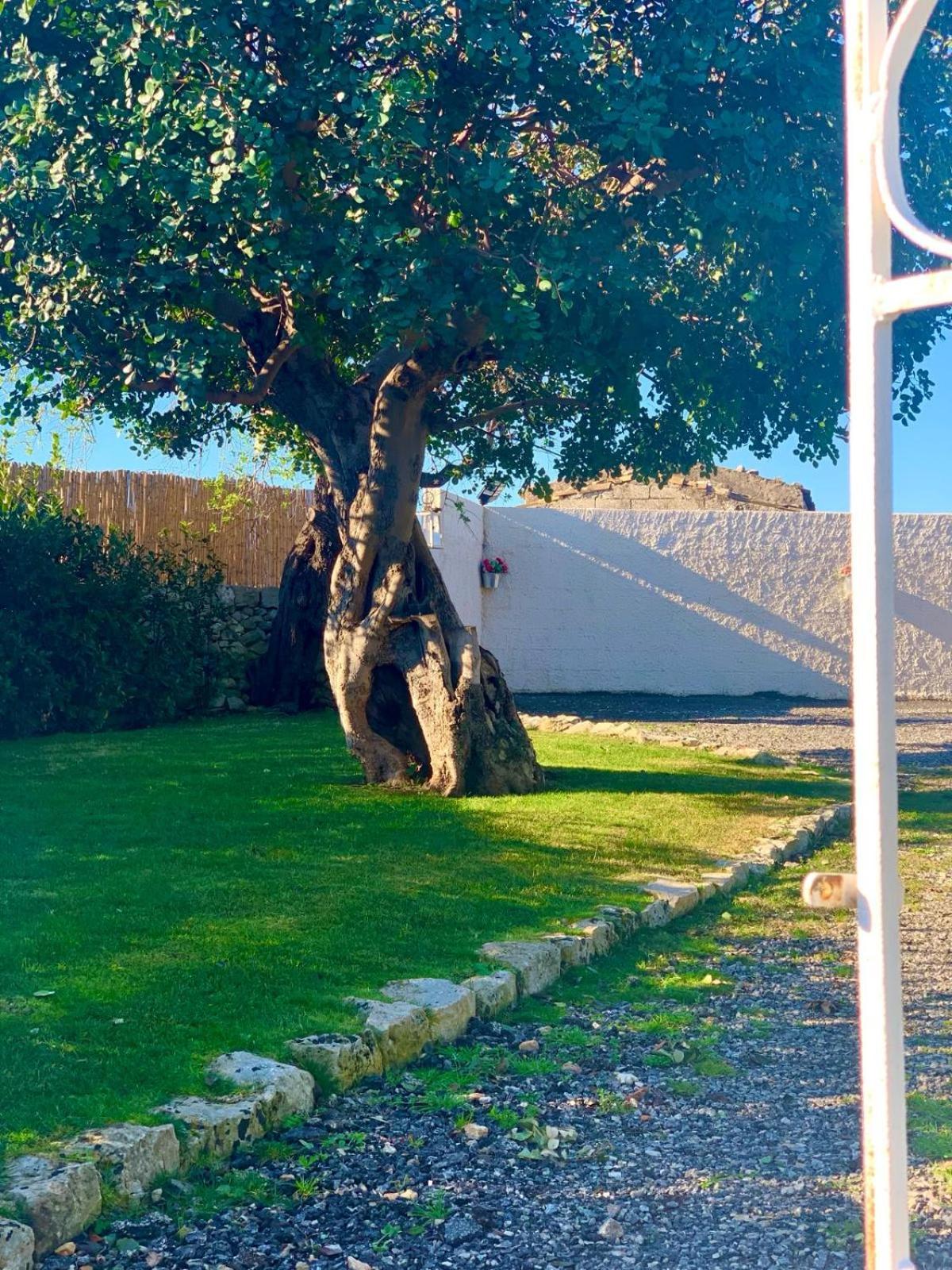 הוילה מודיקה Casa Daviri מראה חיצוני תמונה